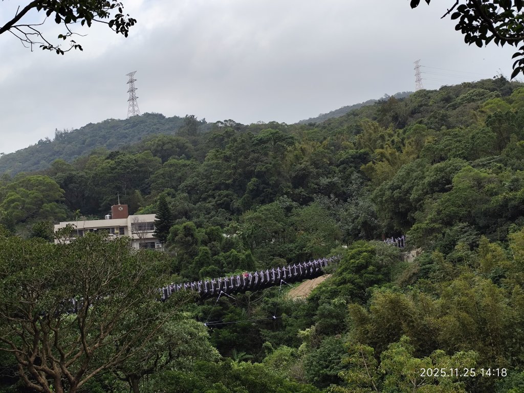 內湖碧山巖、白石湖吊橋_2946403