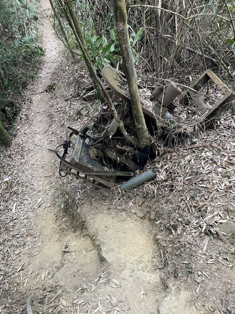 金鳳縱走_2992142