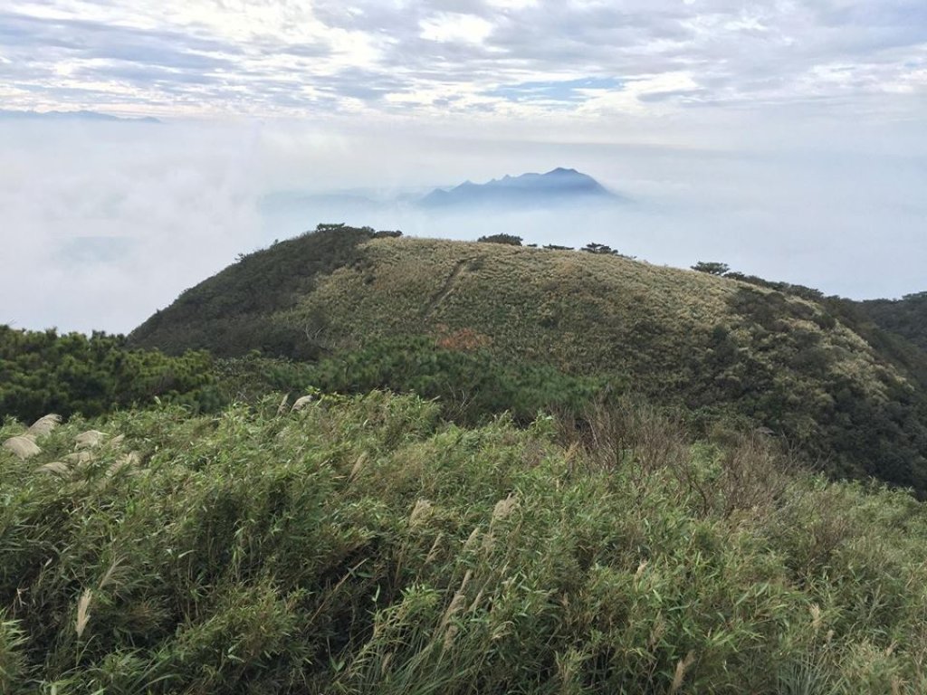 面天山封面圖