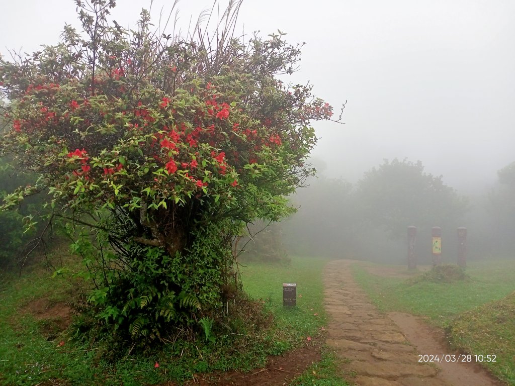 【臺北大縱走 3】擎天崗→石梯嶺→頂山→風櫃嘴_2468775