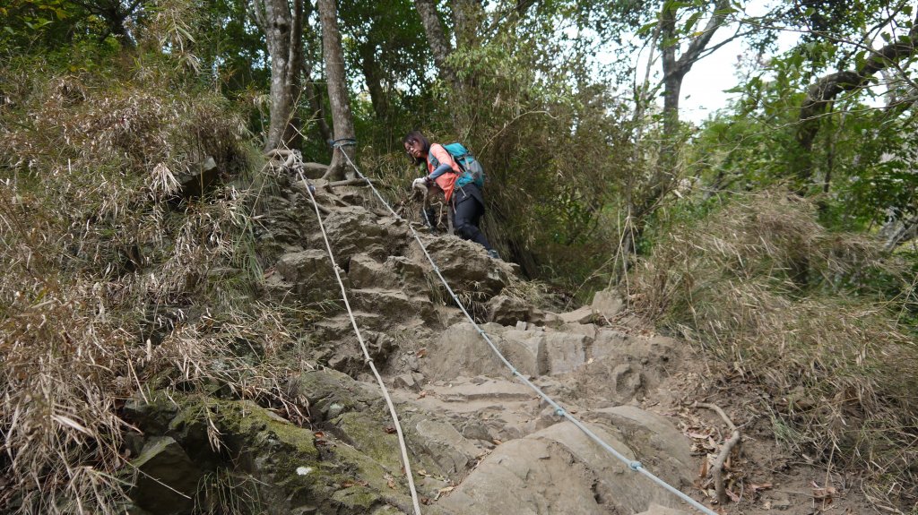 虎山登山健行趣(中級山)_1516901