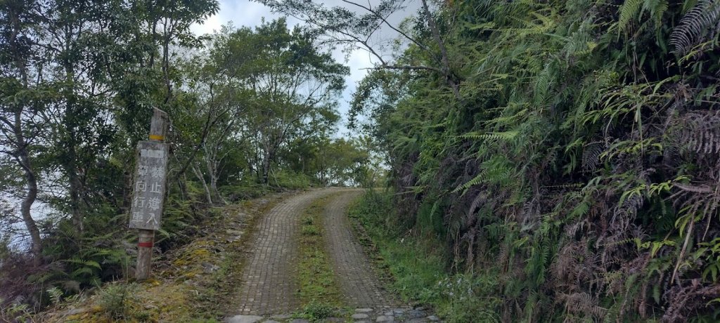 2023 4/10 太麻里山_2107761