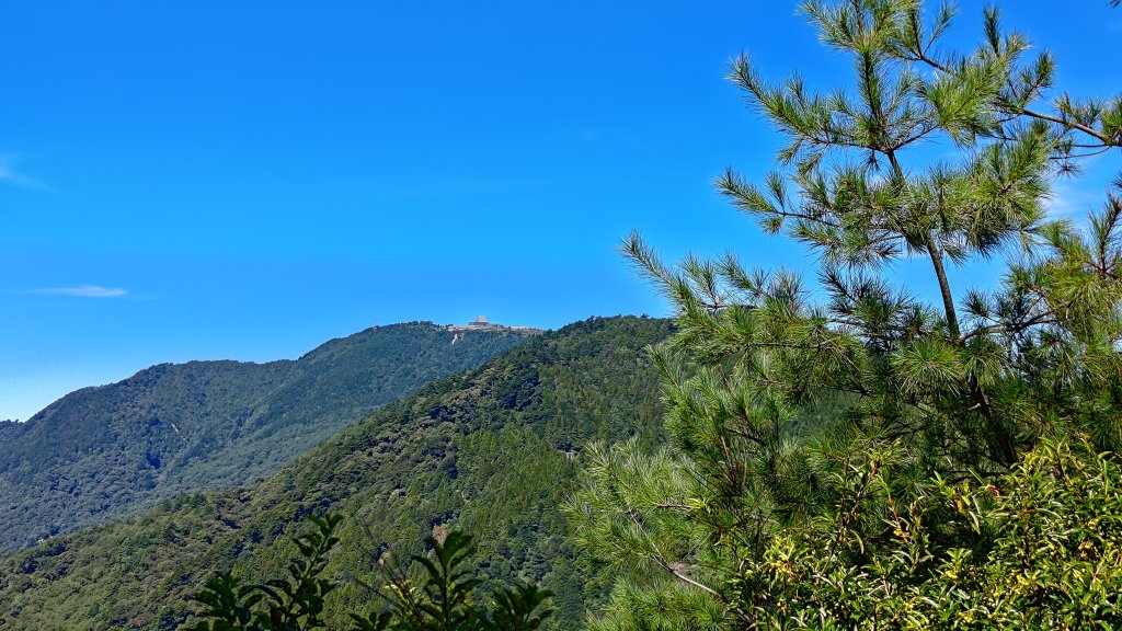 榛山景觀平台_2918106