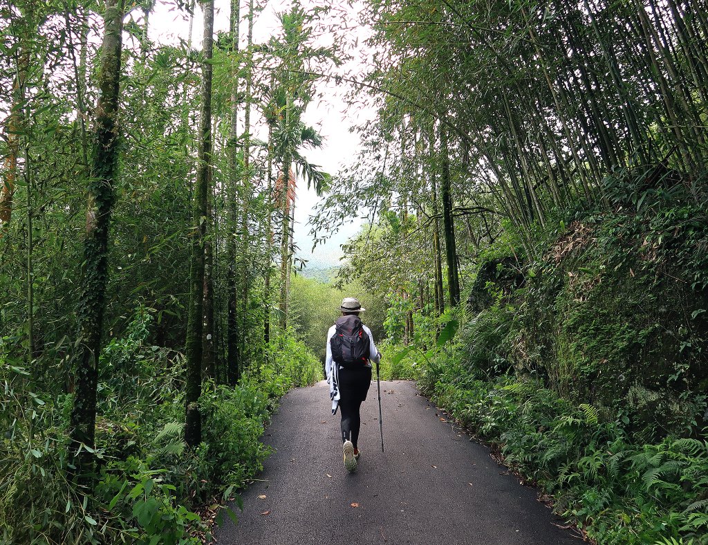 九凍雞縱走_2467959