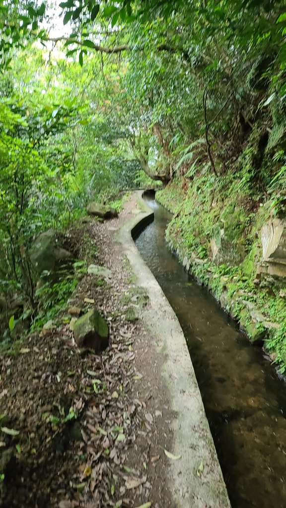 2022-0406 大崎頭步道_瑪礁古道_2號碉堡_內雙溪古道山路_北五指山_高頂山_荷蘭古道_1665155