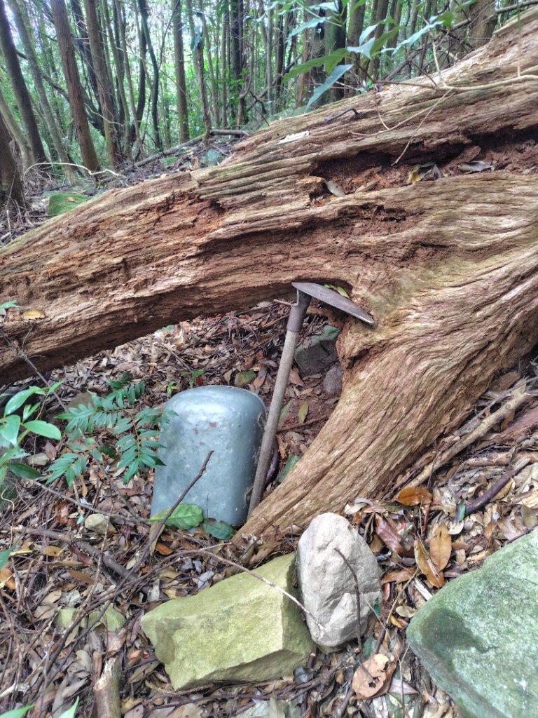 屋我尾山_2931472