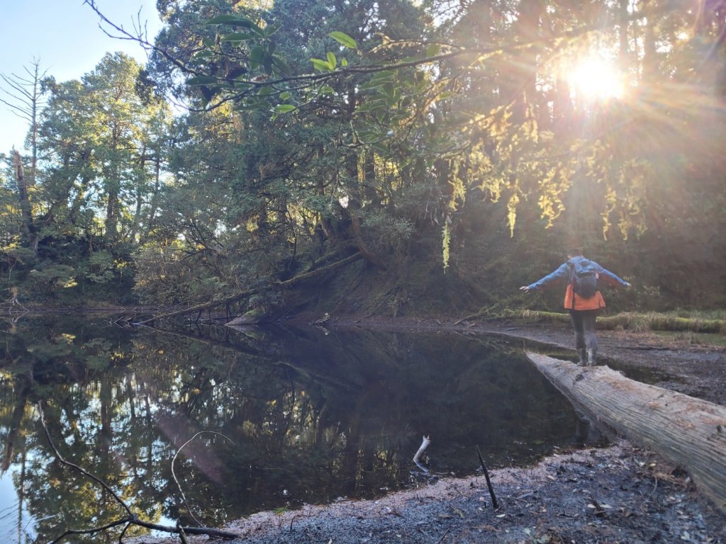 20230219 塔魔巴_2037253