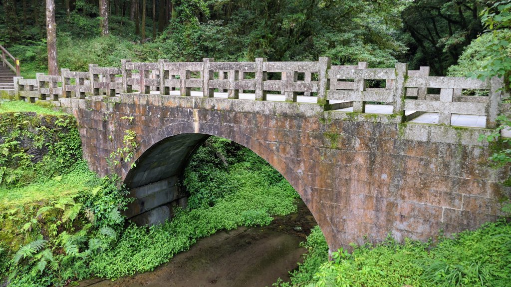 阿里山森遊區-神木步道_2536838