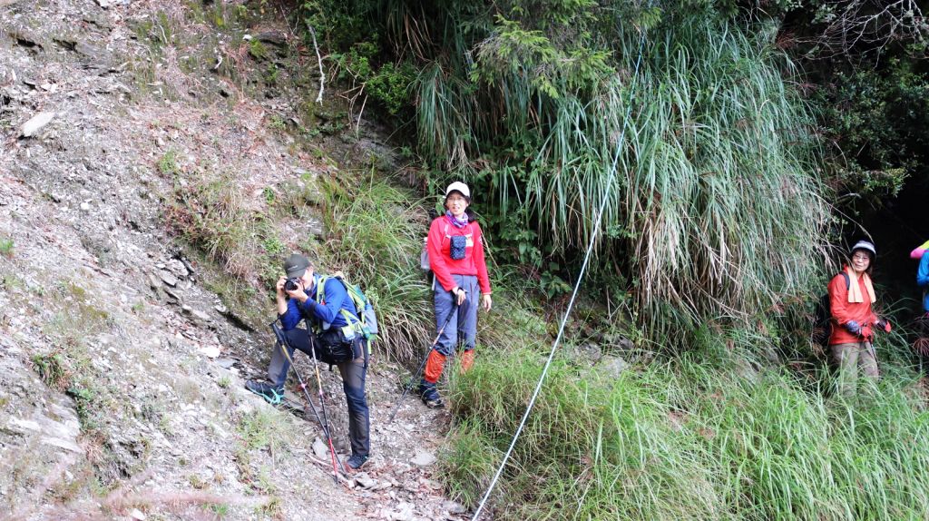 走過天險之路~合歡越嶺古道順登卯木山_170752