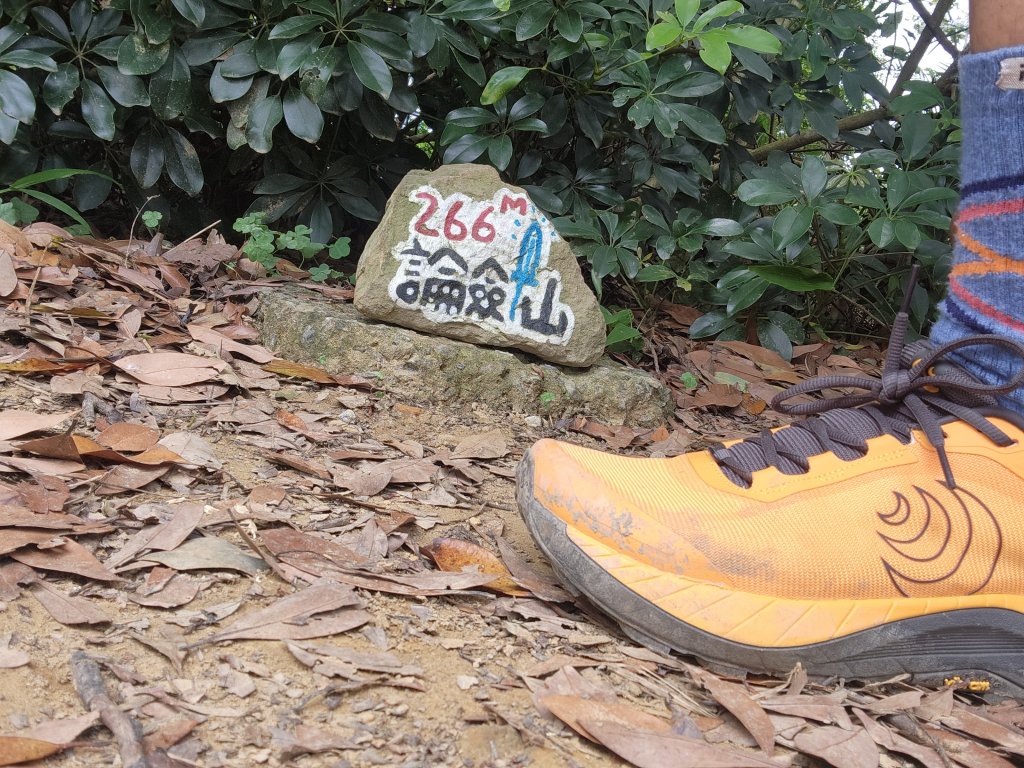 金面山-風櫃嘴折返跑封面圖