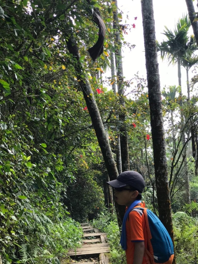 樟腦寮車站上獨立山奉天岩泡茶煮泡麵大巃頂看群峰美景_470016