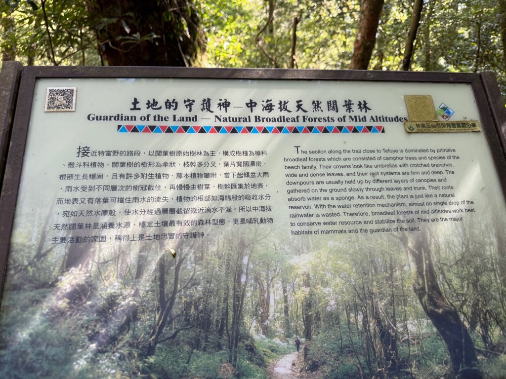 1141122特富野古道_2945816