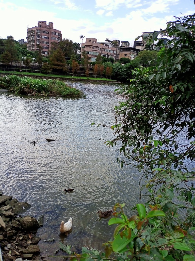 大湖公園 (防災公園)、湖山六號公園【走路趣尋寶】_1902711