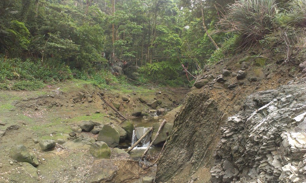 大竹坑山20140424_1960000