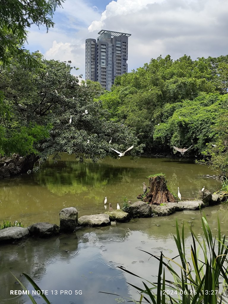 大安森林公園【走路趣尋寶】【臺北健走趣】_2536214
