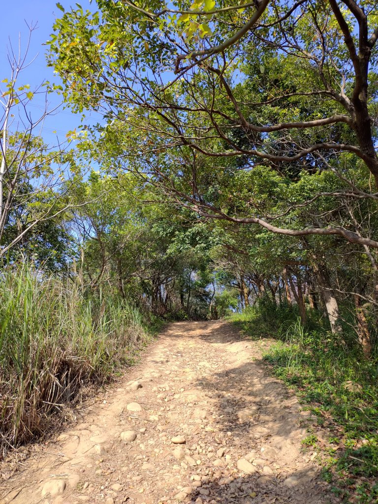 虎頭山大亂走_820191