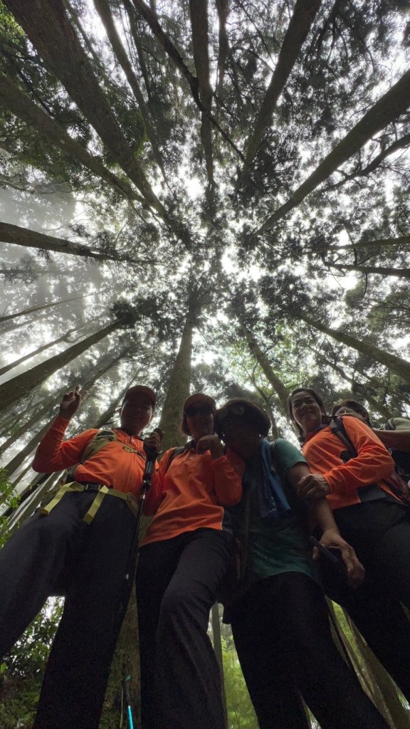 雲嶺之丘_20240720_2555079