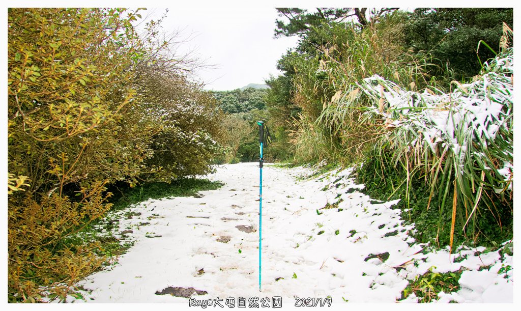 2021 大屯山之雪_1234708