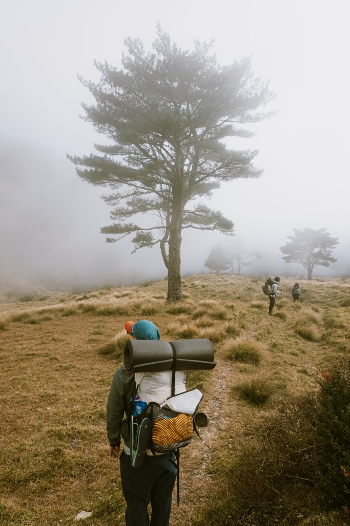 沉睡在郡大林道的龍貓公車_2010781