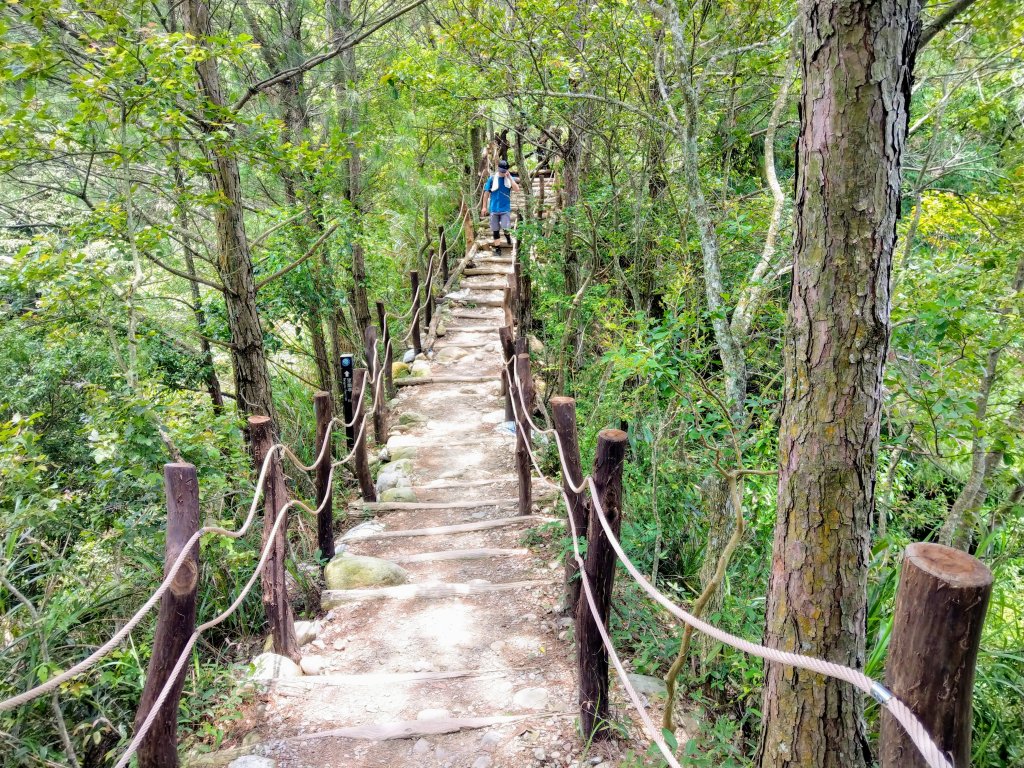 頭嵙山(小百岳#41)大坑4,5,1步道_1003680