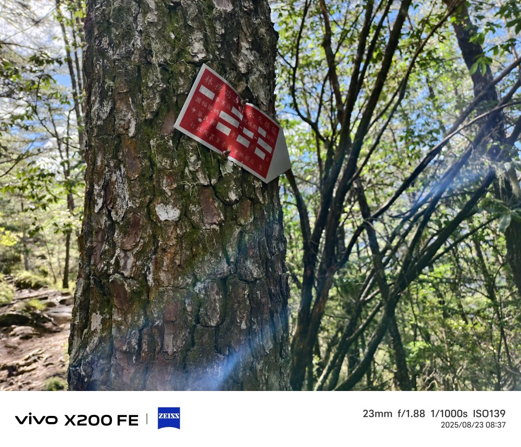 [玉山尋寶任務-04/12] 2025_0823 玉山前峰登山山徑_2869476