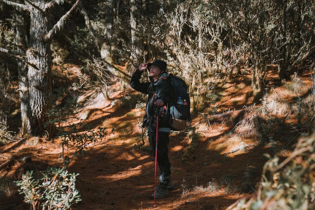 不可思議嘉明湖_226265