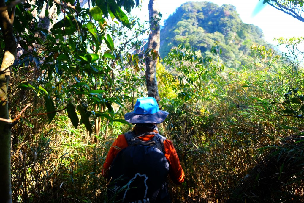 光影森林-那結山縱走貴妃山_773699