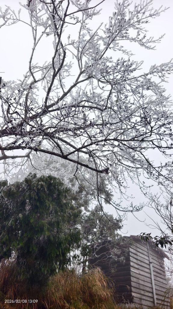 #霧淞 #雲海 #雲瀑 #霧虹 #太平山 #望洋山 #觀雲步道 #翠峰道路  2/8_2995350