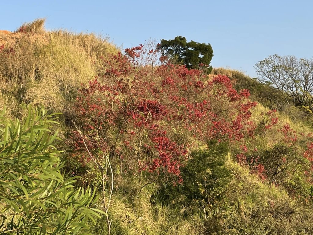 知高圳步道_2711617