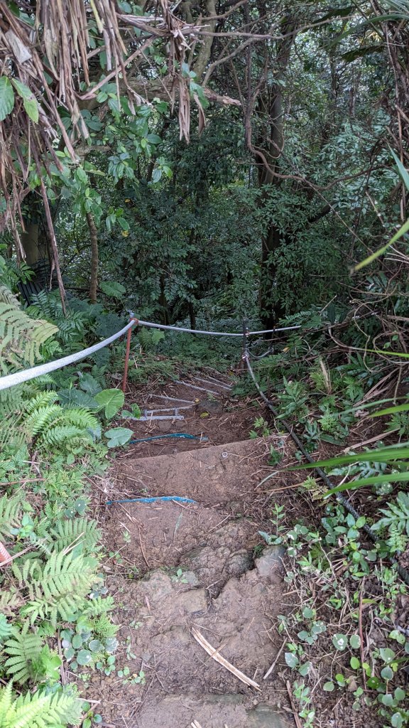 20230124_年初二_新店文筆山_土城清水大尖山_新加坡嶺_青龍嶺_2011176