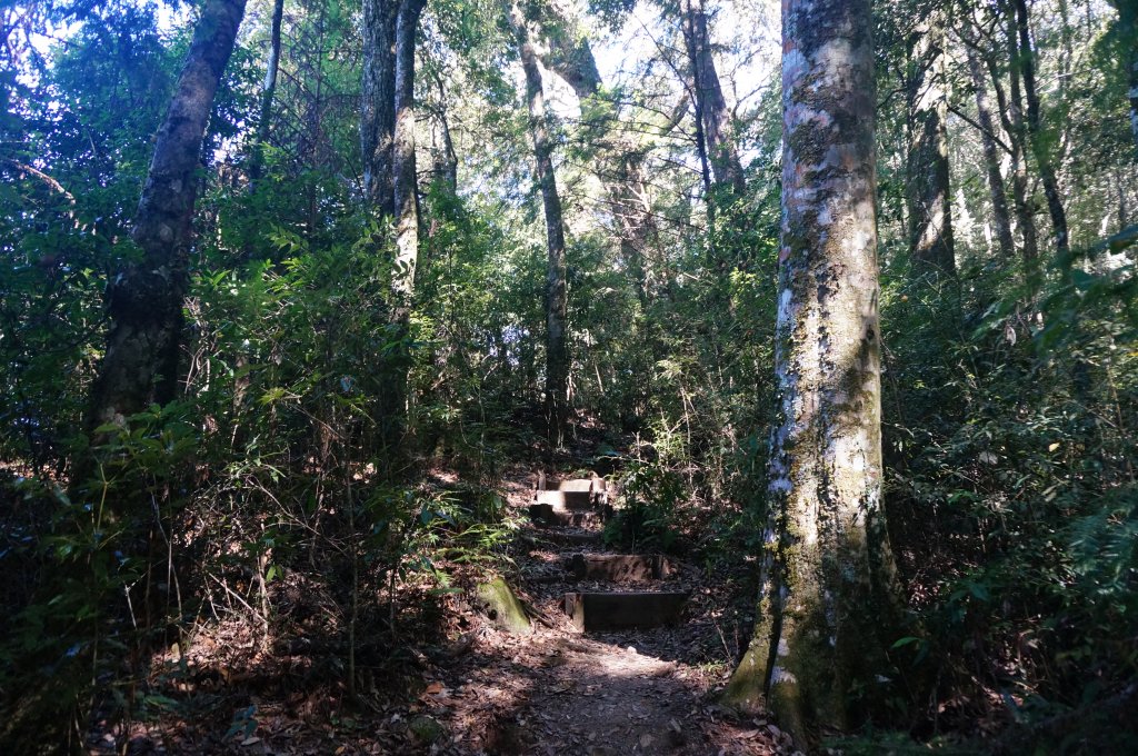 稍來山 稍來山南峰_1909958