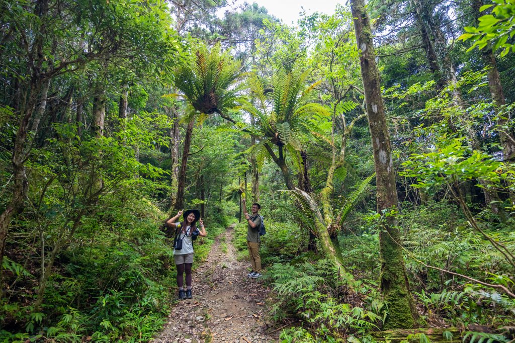 浸水營古道：橫跨中央山脈的百年古徑封面圖