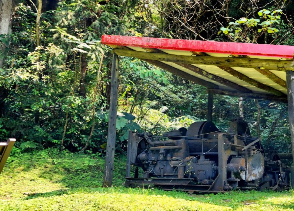 【中級山縱走】志繼山，東眼山，拉卡山，卡外山，東滿步道_2742560