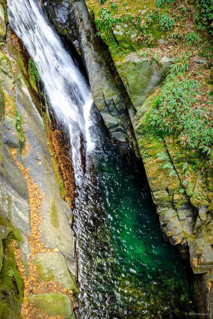 [冬訪大霸聖山岳參行]-大鹿林道東線榆金楓紅與九九山莊精選輯_2974631