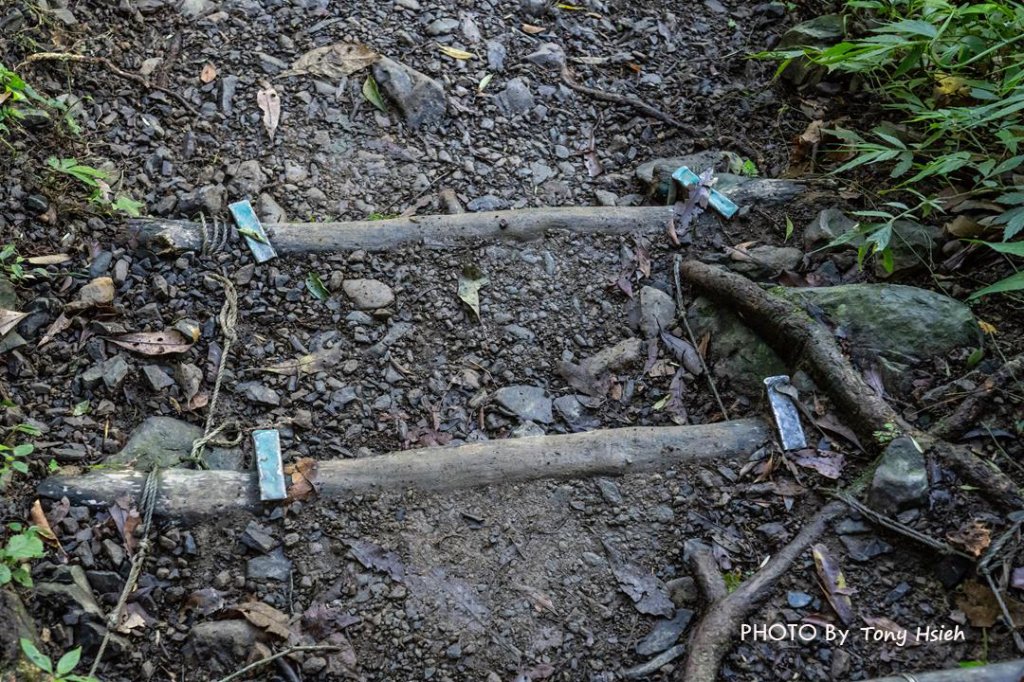 雲森瀑布「偉大的步道維護者黃伯伯」封面圖