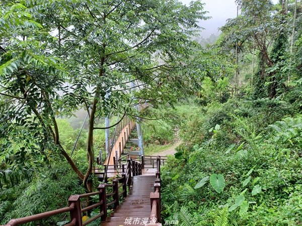 【雲林古坑】適合親子散散步。 華山小天梯情人橋_1681762