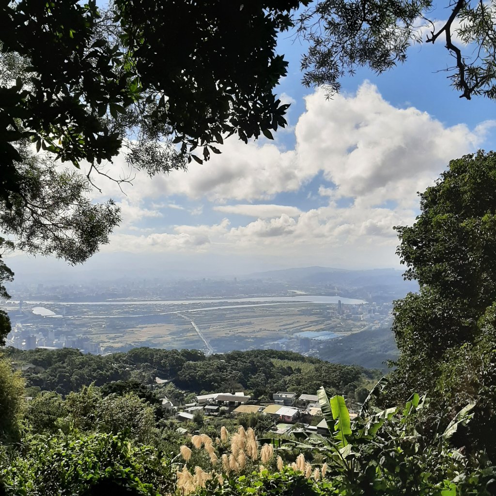 臺北大縱走1：森之旅_1224640