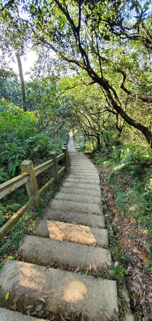 111-02-28宜蘭桃源谷爬山封面圖