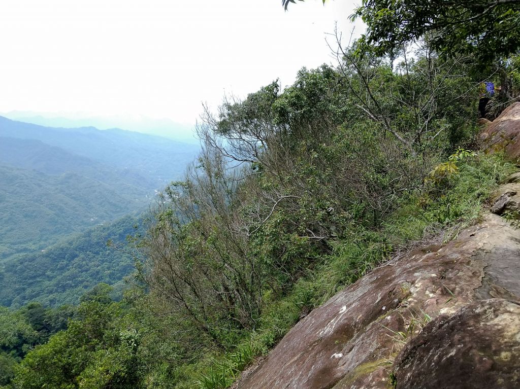 五寮尖 O 型之旅_396769