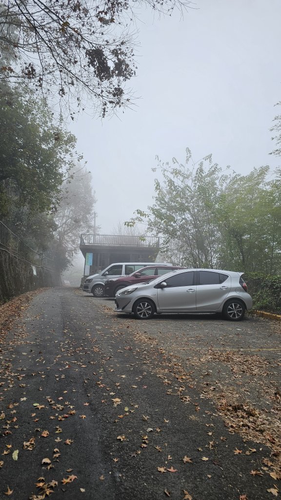 【馬年走馬山，馬到就成功！】🐴馬年馬路要走，馬那邦🏔️也要登！O繞11K，爬升900M，🥾腿在_2977173
