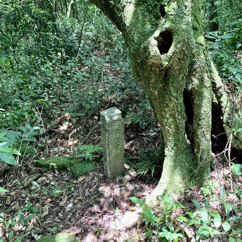 荷蘭古道—嵩頂山西峰—內雙溪古道_1743195