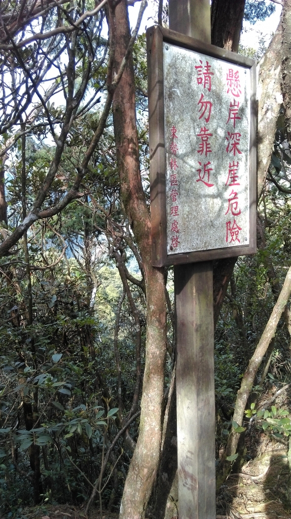 20160305鳶嘴山_32393