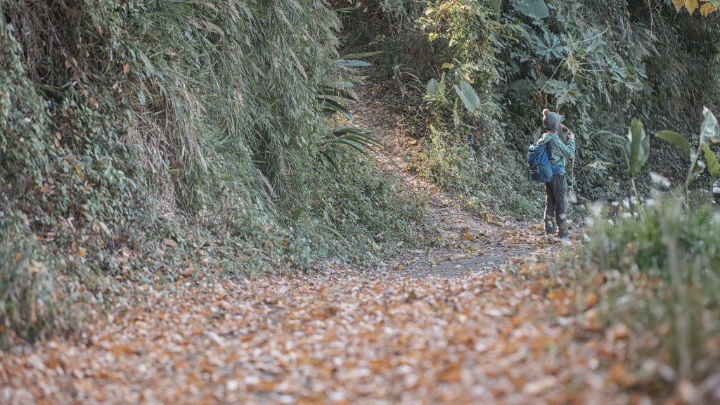寶山水庫環湖步道（西北、西、東峰）_2986766