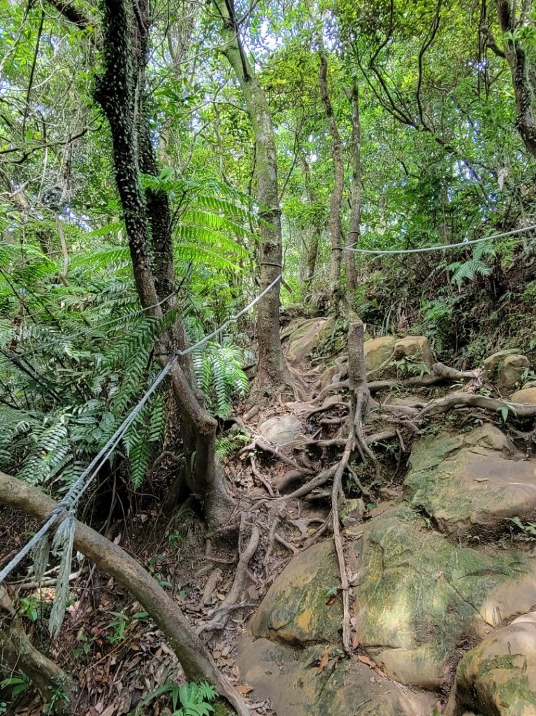 2022.07.19 台北天際線第一段 二格山-新店_1769820