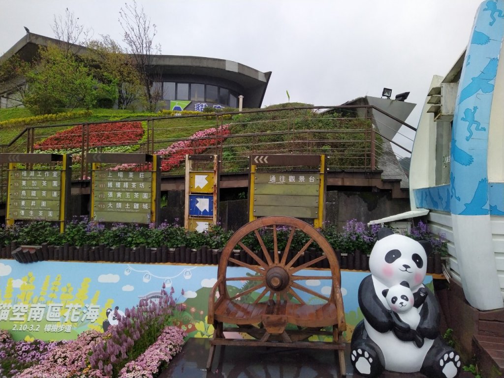 樟樹步道封面圖