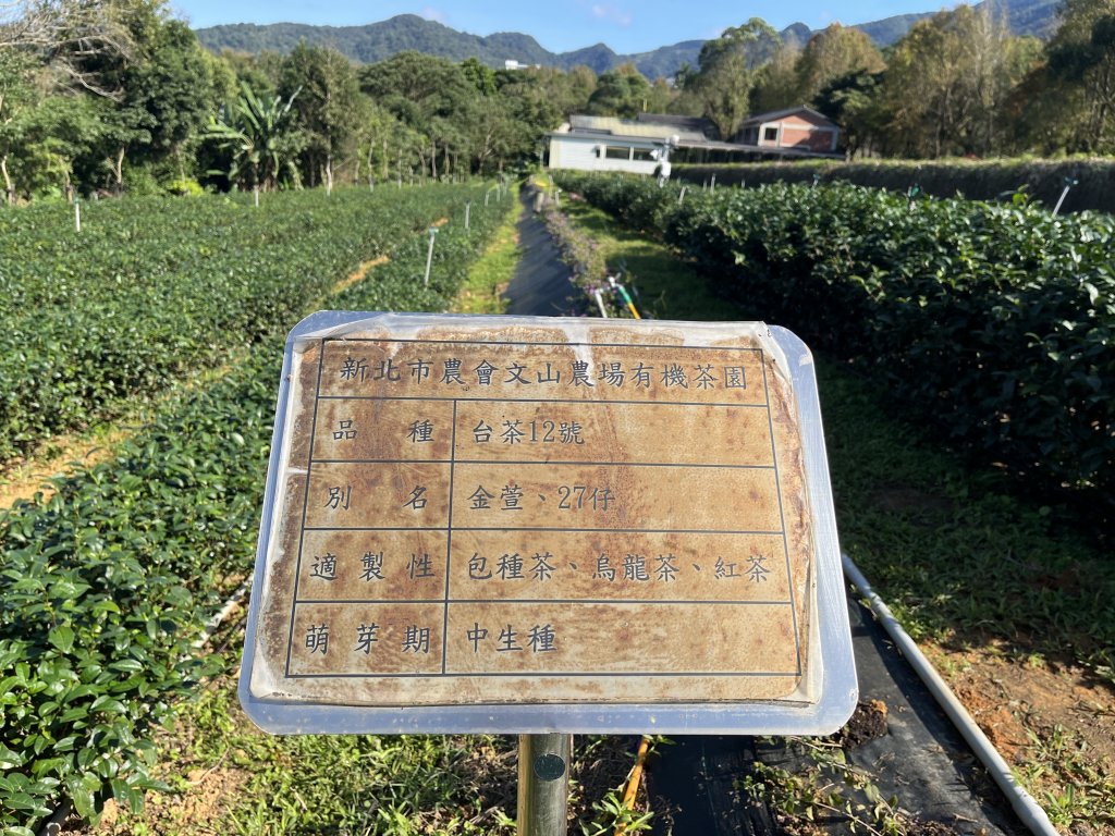 南山神壽 -- 文山農場_1960298