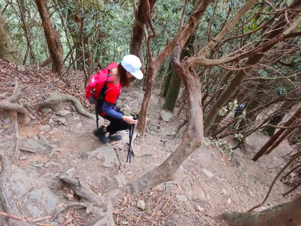 輕鬆走訪屋我尾_1168837