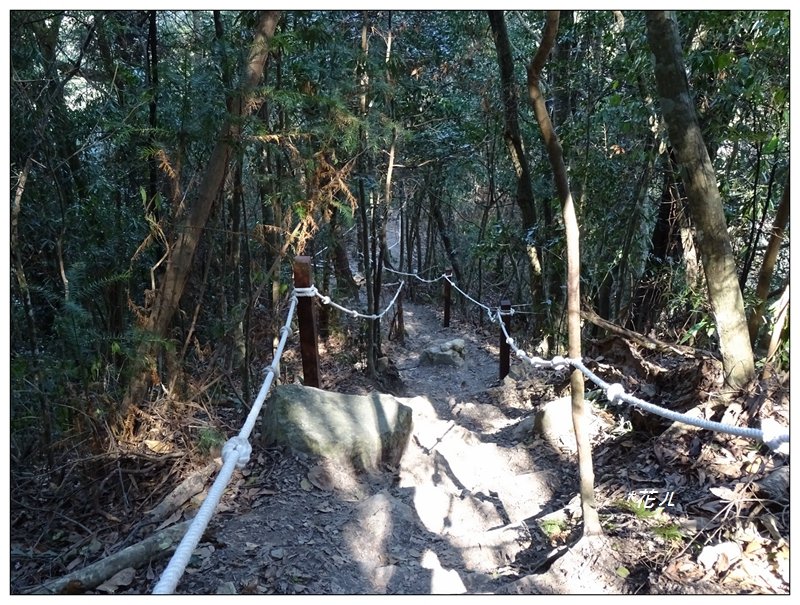 唐麻丹山/裡冷步道_868406