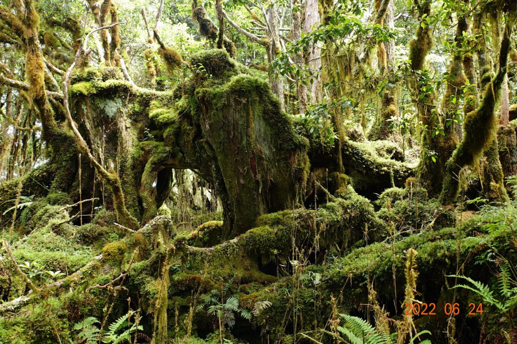 宜蘭 大同 多門山_1744503