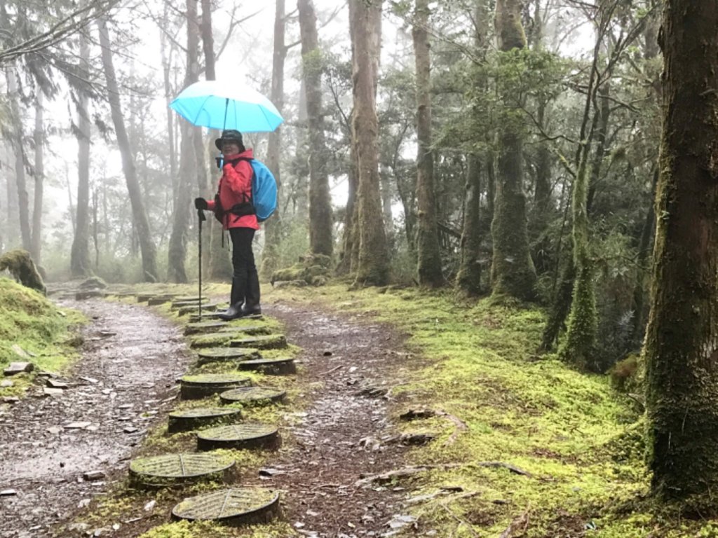 雨霧散遊太平山_885899